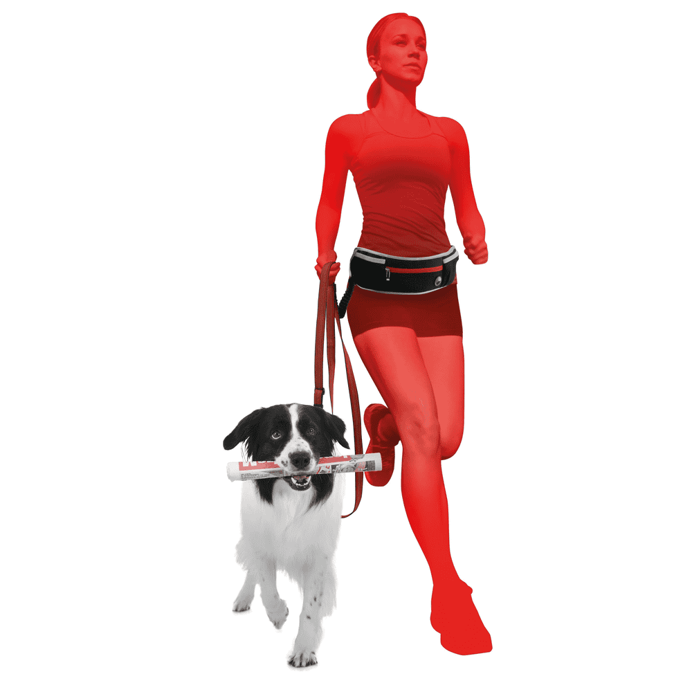 Speedo jogging leashes set