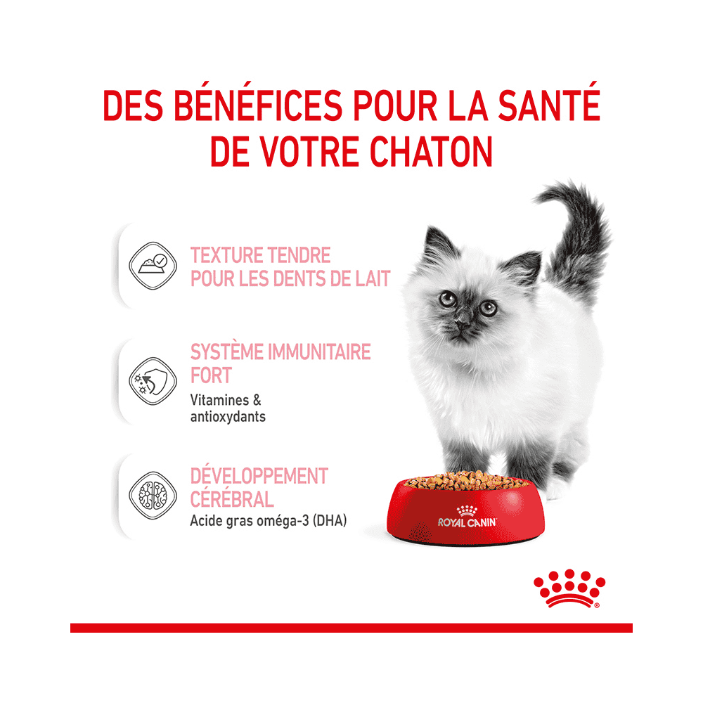 Kitten en gelée - sachet