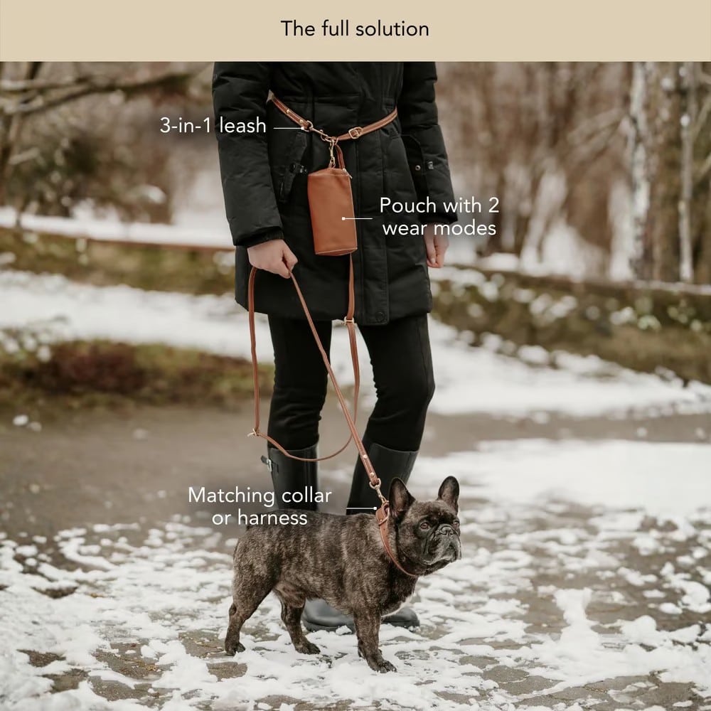 3-in-1 Handsfree Leather Dog Leash
