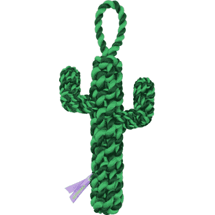 Jouet en corde Oasis Cactus