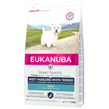West Highland White Terrier