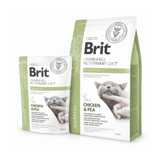 Vet Diet - Cat Diabetes