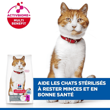 Feline Sterilised Cat Duck