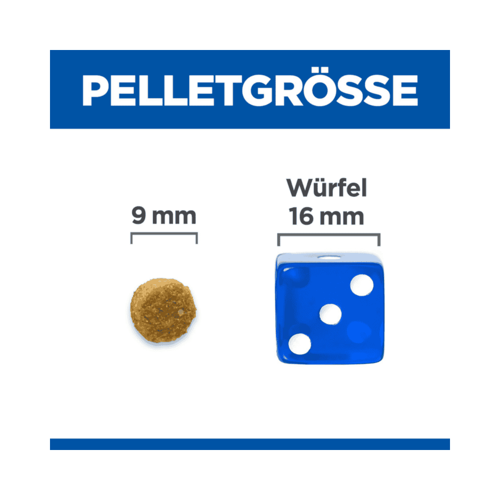 Feline Hypoallergenic No Grain Egg & Insect