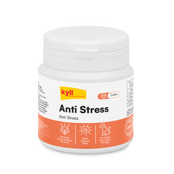 Anti Stress Cubes