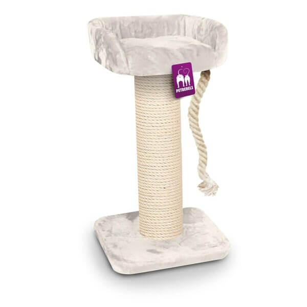 The Rebels Maine Coon 100 cat scratcher
