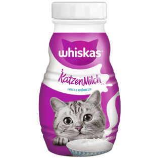 Cat Milk