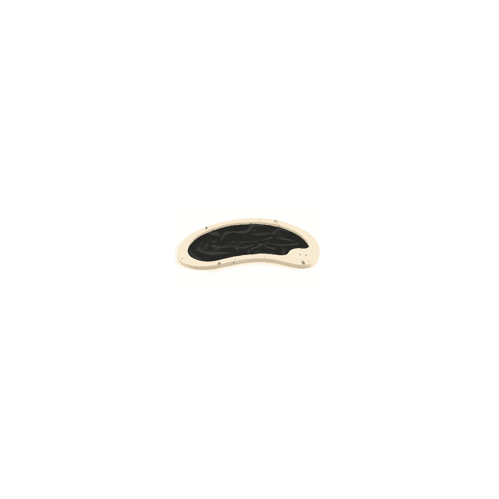 Swisspet Living cat scratcher, kit system, kidneys