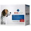 Joint tonic for dogs
