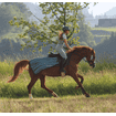 Riding fly rug Summer Stroll - green