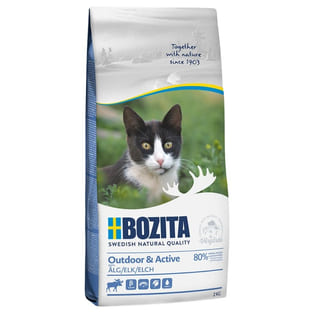 Cat Outdoor & Active Elch