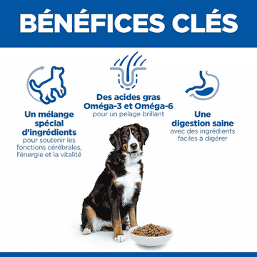 Canine Senior Vitality 6+ Large Breed