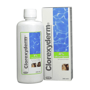 Shampooing Clorexyderm 4