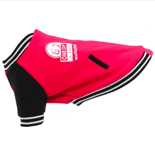 TrendLine dog coat box
