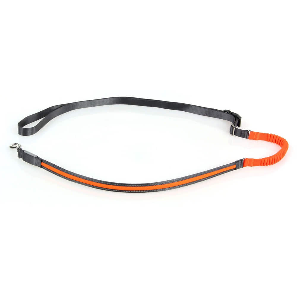 laisse jogging Spira