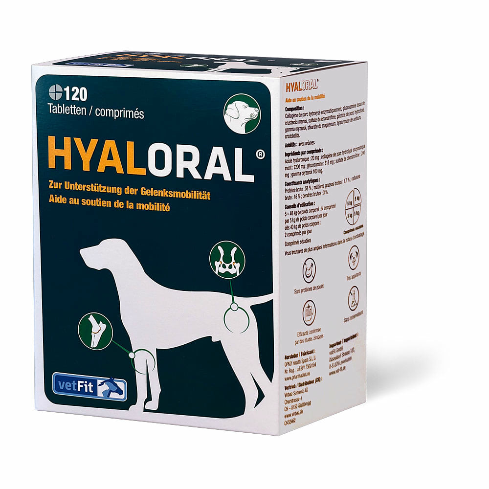 Hyaloral comprimés