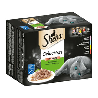 Sélection en sauce diversité délicieuse