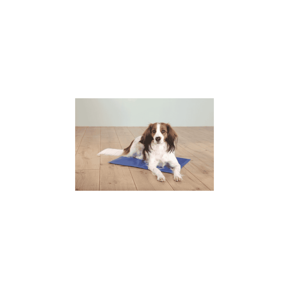 Cooling Mat blue