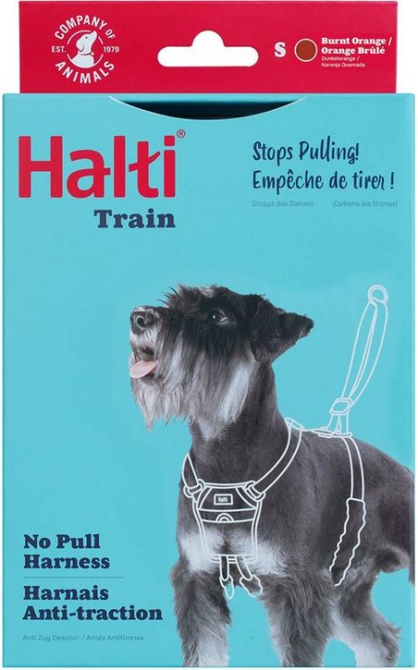 No Pull Harness, orange