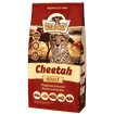 Adult Cheetah