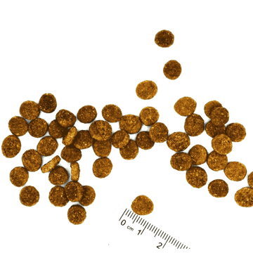 Speciality Line Sterilised Forelle