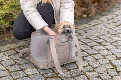 Mary bag