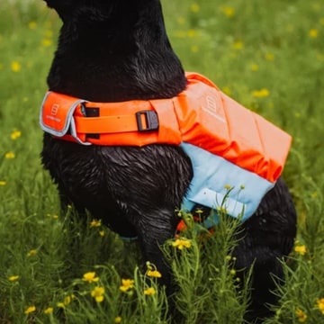 Hundeschwimmweste orange / blue