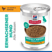 Canine Perfect Weight - Dose