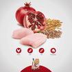 Canine Adult Mini Huhn Granatapfel