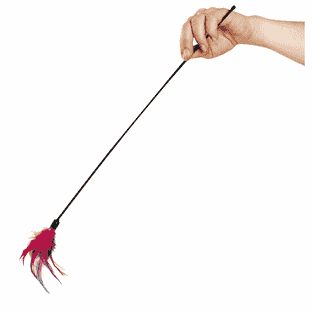 Canne à pêche pour chats avec plumeau