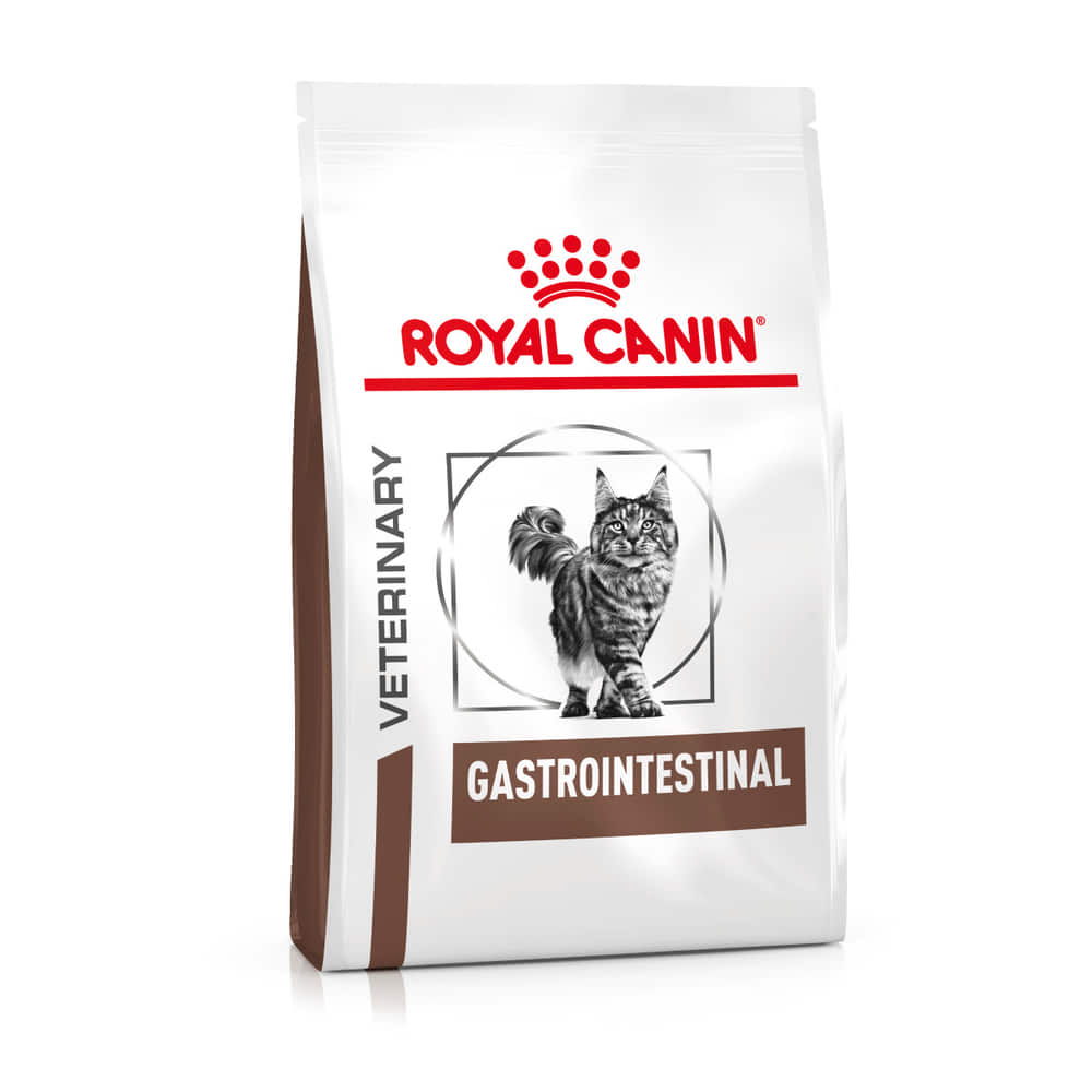 Gastrointestinal Cat