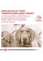 Cardiac Dog