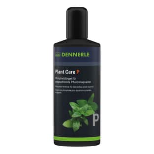 Plant Care P