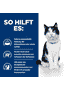 Feline i/d Digestive Care - Boîte