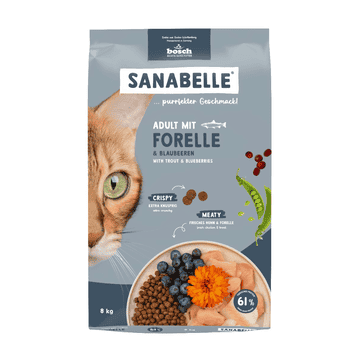 Adult Forelle
