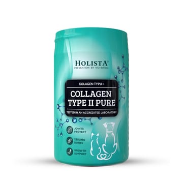Collagen Type II Pure