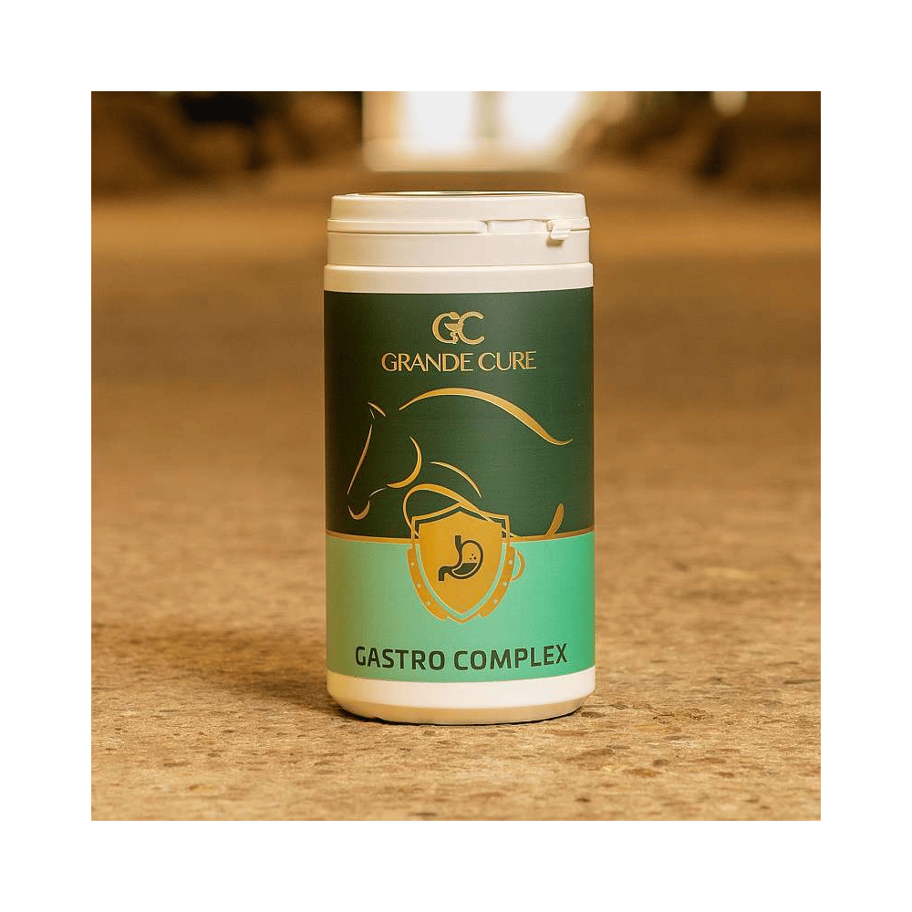 Gastro Complex