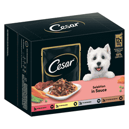 Selektion in Sauce Multipack
