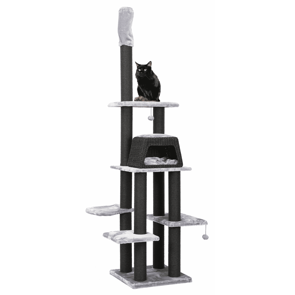 Arbre à chat Blacky Varys