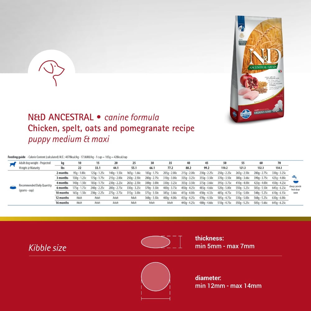 Puppy Medium/Maxi Huhn Granatapfel