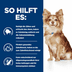 Canine t/d Dental Care Mini
