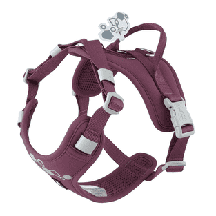 Weekend Warrior Geschirr II ECO Aubergine