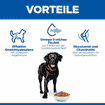 Canine Perfect Weight + Active Mobility Large Breed