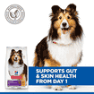 Canine Adult Sensitive Stomach &amp; Skin Medium Breed