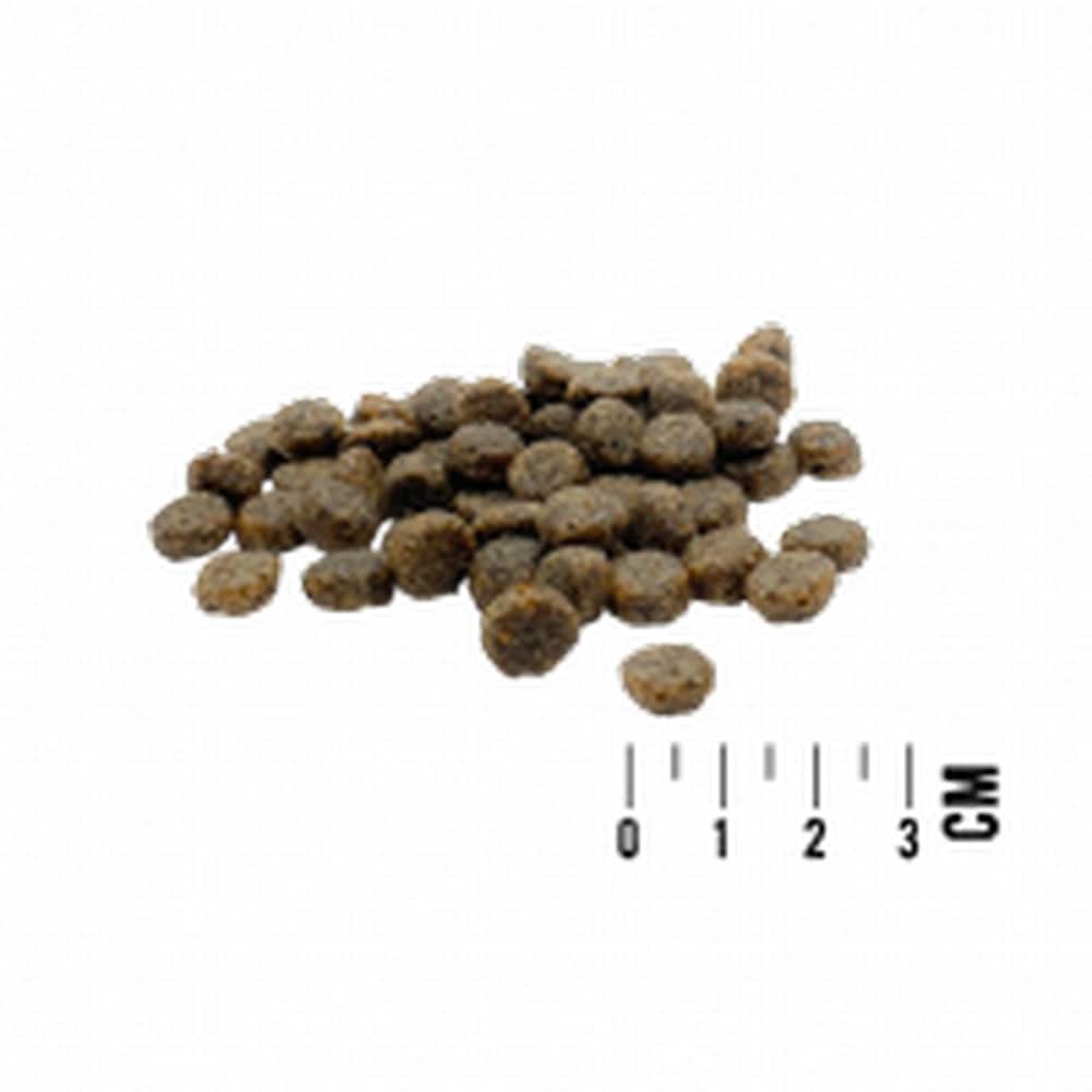 DOG Mono Mini Dinde