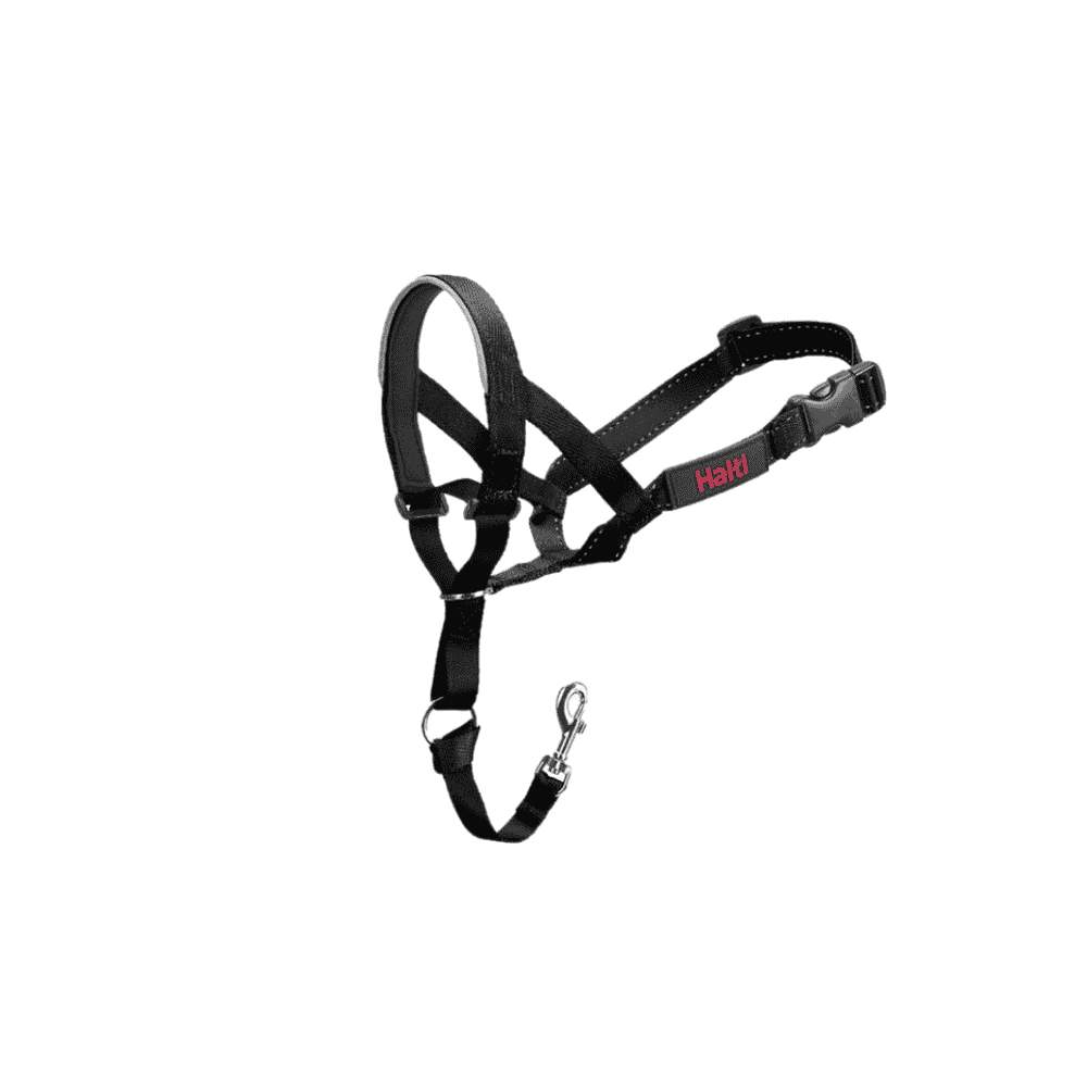 Headcollar, schwarz