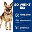Canine Gastrointestinal Biome