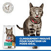 Feline Perfect Weight