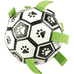 Hundefussball
