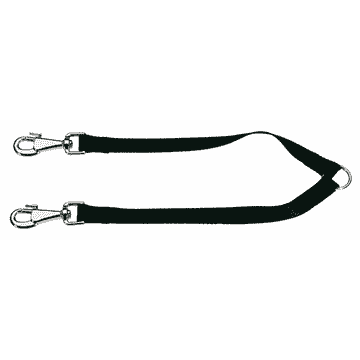 Twin leashes for dogs